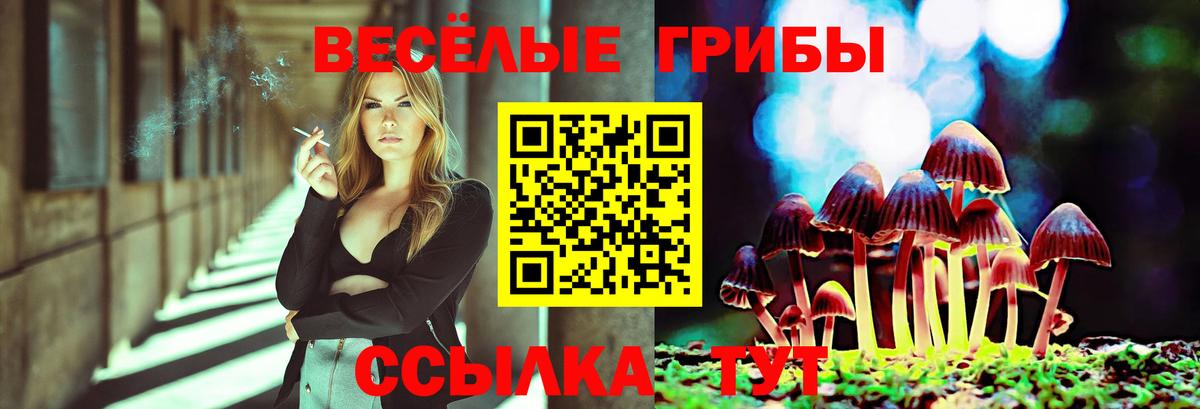 Галлюциногенные грибы прущие грибы Партизанск